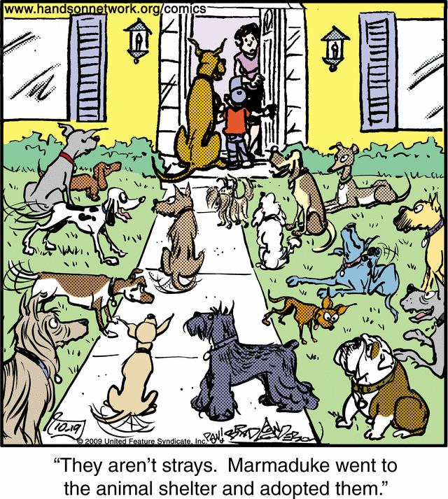 marmaduke